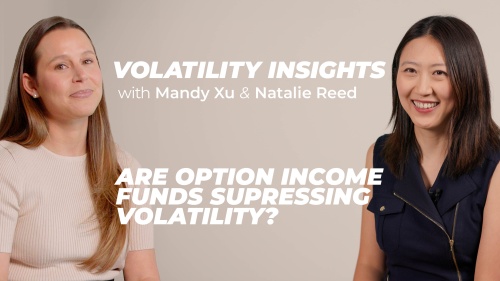 Volatility Insights - Are Option Income Funds Suppressing Volatility?